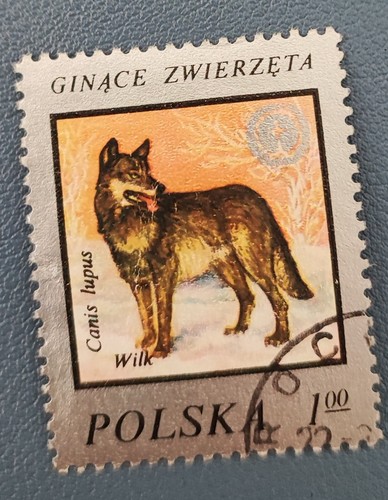 Timbre pologne polska 1977 - timbre,