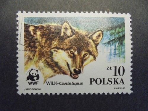 Timbre polska pologne - pologne/, loup/